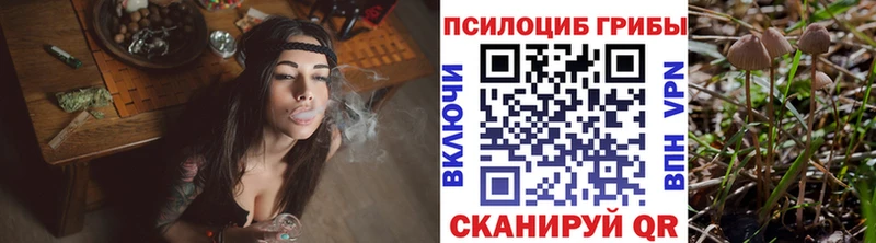 Купить  Козьмодемьянск  Галлюциногенные грибы мухоморы 